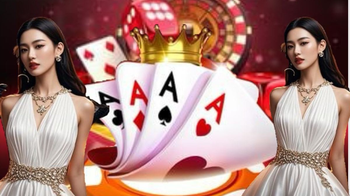 mql5 Daily Spin Rooms